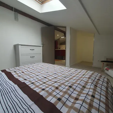 Duplex Familial Grand Confort T3 Toulouse